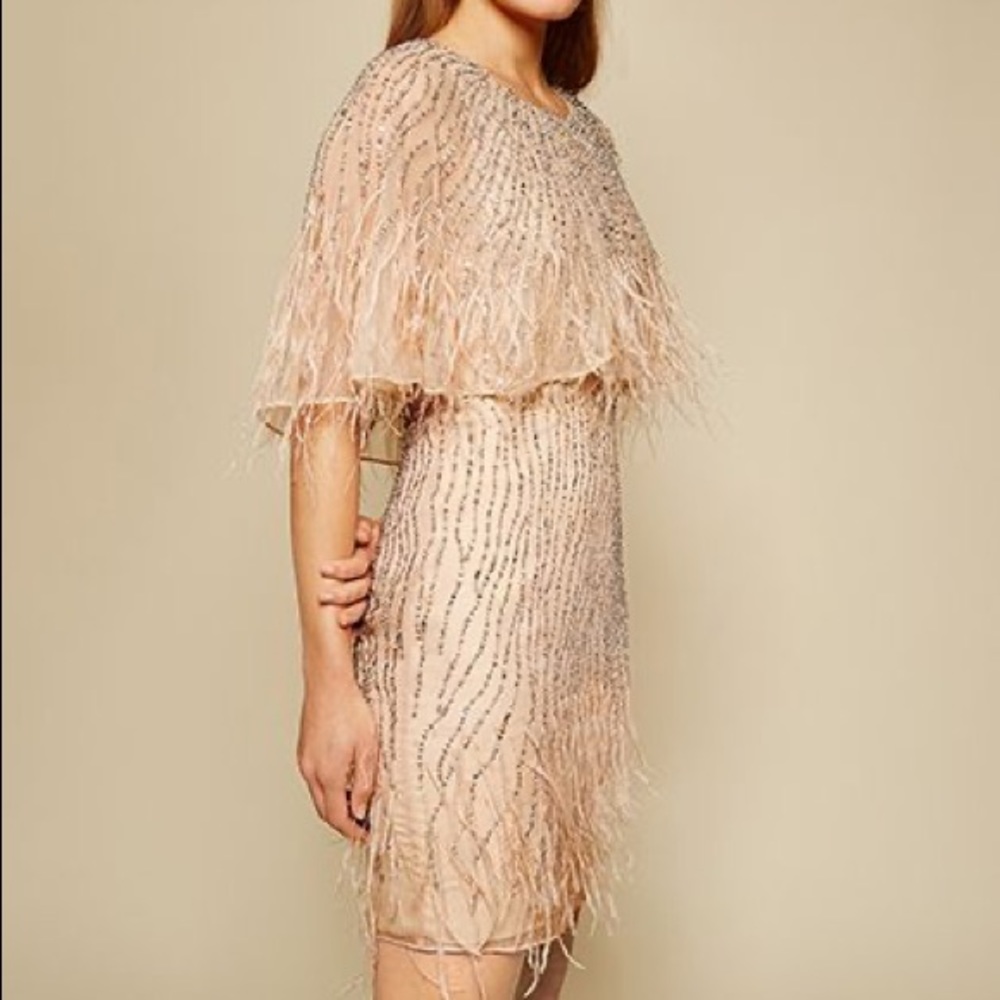 Parker White Kendra Sequin Feather Embellished Dress Size 4